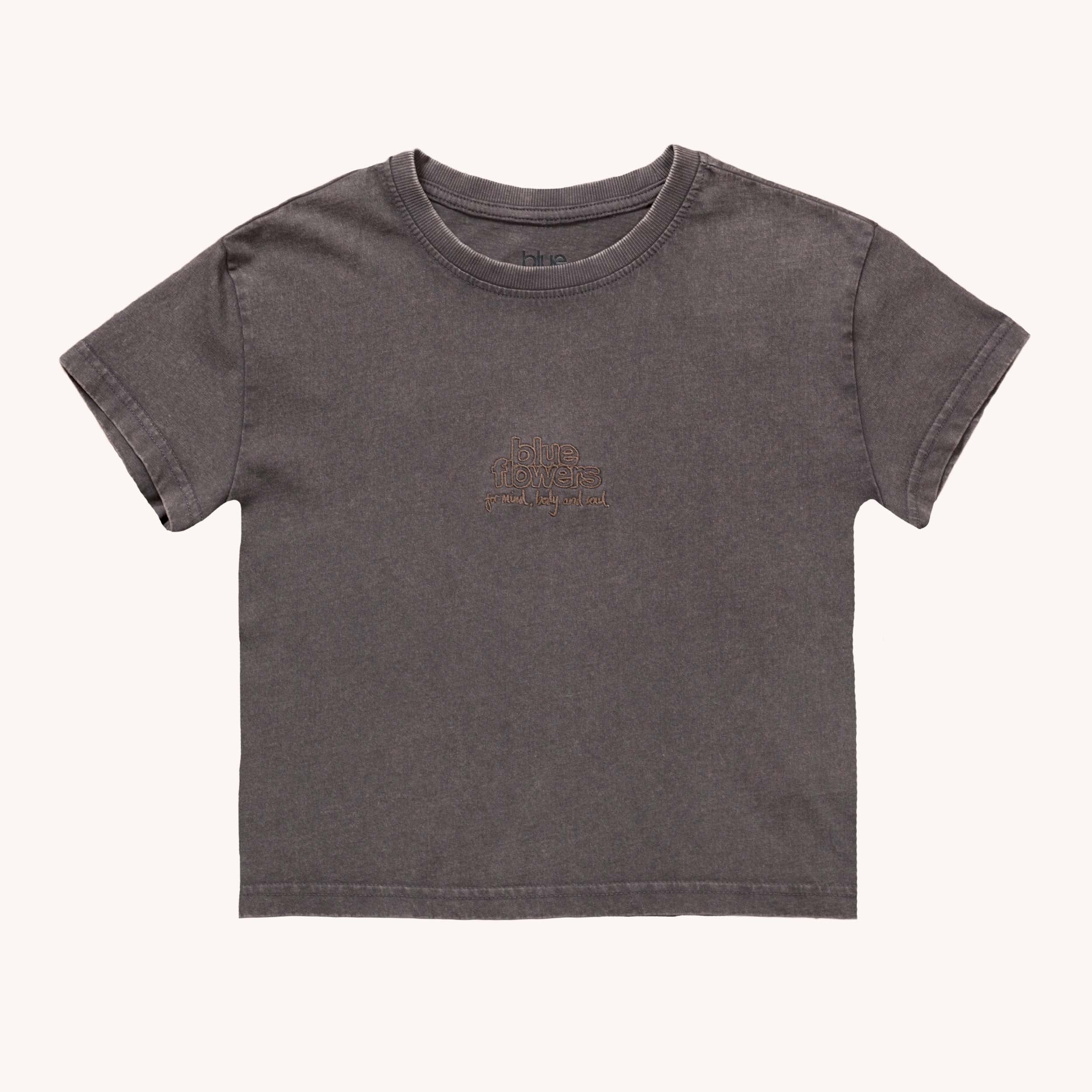 WOMENS SEATTLE CROPPED T SHIRT - STONE WASH